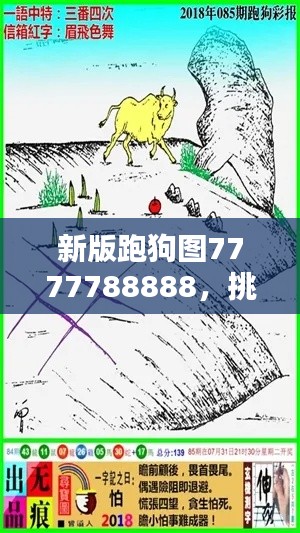 新版跑狗圖7777788888，挑戰(zhàn)TDM565.02資料解析