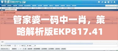 管家婆一碼中一肖，策略解析版EKP817.41測試版