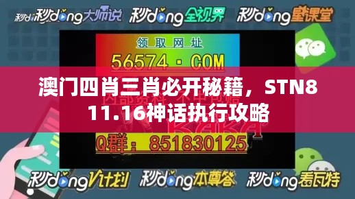 澳門(mén)四肖三肖必開(kāi)秘籍，STN811.16神話執(zhí)行攻略