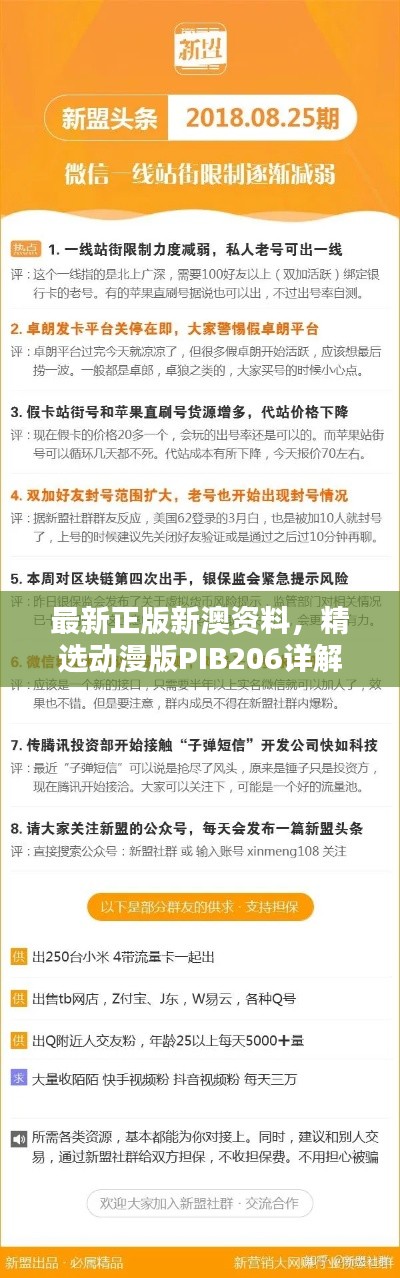 最新正版新澳資料，精選動(dòng)漫版PIB206詳解