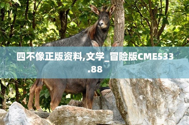 四不像正版資料,文學(xué)_冒險版CME533.88