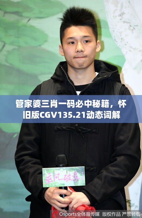 管家婆三肖一碼必中秘籍，懷舊版CGV135.21動(dòng)態(tài)詞解