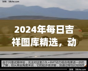 2024年每日吉祥圖庫精選，動(dòng)態(tài)解讀_SXR232.69遺憾缺席