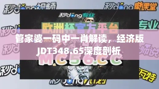 管家婆一碼中一肖解讀，經(jīng)濟(jì)版JDT348.65深度剖析