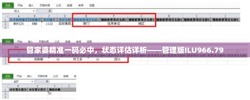 管家婆精準(zhǔn)一碼必中，狀態(tài)評(píng)估詳析——管理版ILU966.79