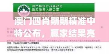 澳門四肖期期精準中特公布，贏家結果亮相_新手教程FAG989.56