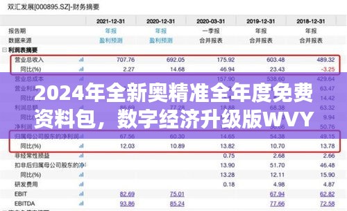 2024年全新奧精準(zhǔn)全年度免費(fèi)資料包，數(shù)字經(jīng)濟(jì)升級(jí)版WVY560.95