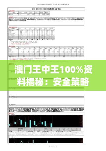 澳門(mén)王中王100%資料揭秘：安全策略評(píng)估報(bào)告_造化境XUK645.54