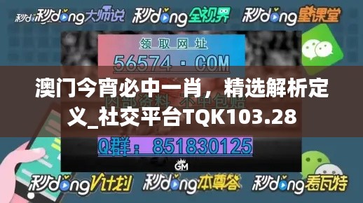 澳門今宵必中一肖，精選解析定義_社交平臺TQK103.28