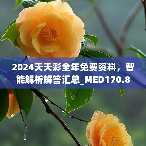 2024天天彩全年免費資料，智能解析解答匯總_MED170.88版