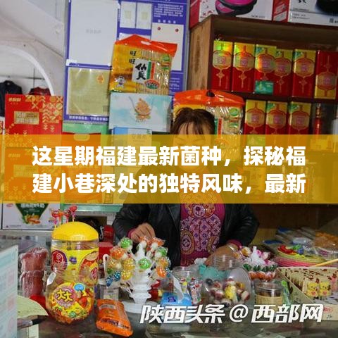 福建小巷深處的獨特風味，最新菌種小店之旅探秘記