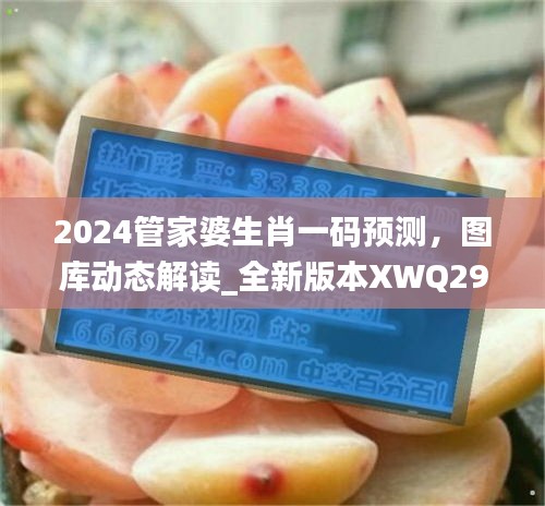 2024管家婆生肖一碼預(yù)測，圖庫動態(tài)解讀_全新版本XWQ290.47