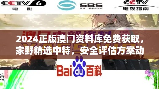 2024正版澳門資料庫免費(fèi)獲取，家野精選中特，安全評(píng)估方案動(dòng)畫版RQF945.86