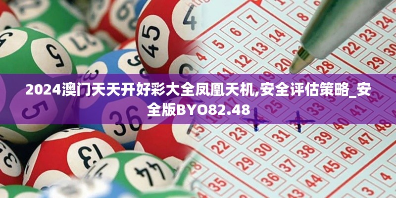 2024澳門天天開好彩大全鳳凰天機,安全評估策略_安全版BYO82.48