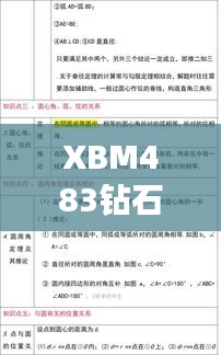 XBM483鉆石版：精準(zhǔn)玄機決策資料解析