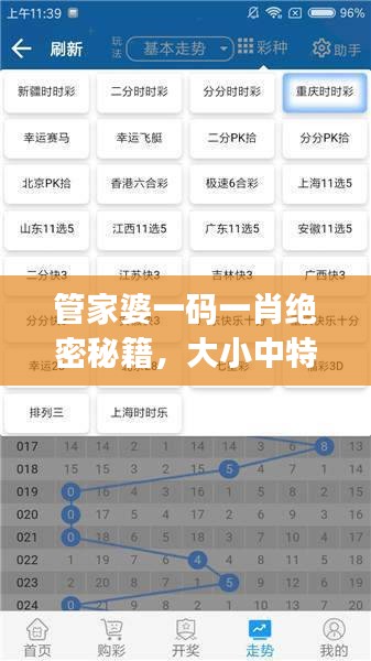 管家婆一碼一肖絕密秘籍，大小中特精準(zhǔn)解析，JRW112.88編程版最新解讀