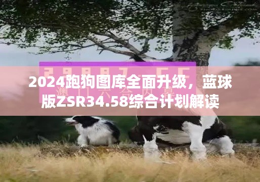 2024跑狗圖庫全面升級，藍球版ZSR34.58綜合計劃解讀