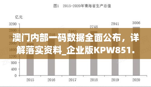 澳門內(nèi)部一碼數(shù)據(jù)全面公布，詳解落實(shí)資料_企業(yè)版KPW851.07