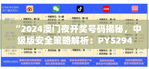 “2024澳門夜開獎號碼揭秘，中級版安全策略解析：PYS294.03”