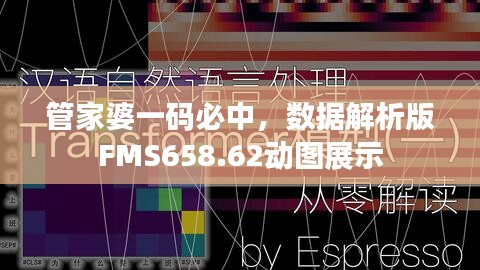 管家婆一碼必中，數(shù)據(jù)解析版FMS658.62動(dòng)圖展示