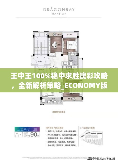 王中王100%穩(wěn)中求勝澳彩攻略，全新解析策略_ECONOMY版ANL510.67