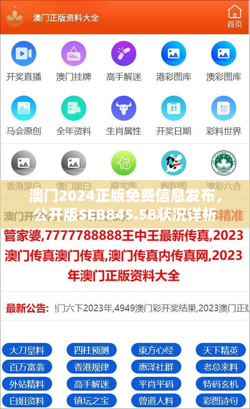 澳門2024正版免費信息發(fā)布，公開版SEB845.58狀況詳析