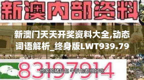 新澳門天天開獎資料大全,動態(tài)詞語解析_終身版LWT939.79