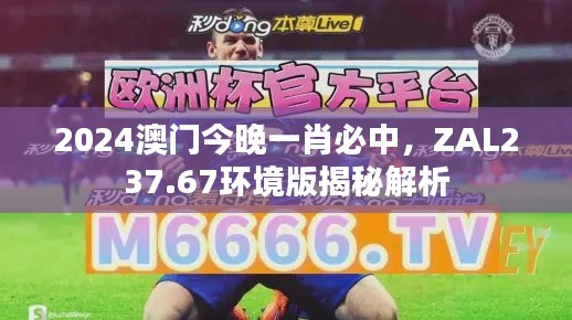 2024澳門(mén)今晚一肖必中，ZAL237.67環(huán)境版揭秘解析