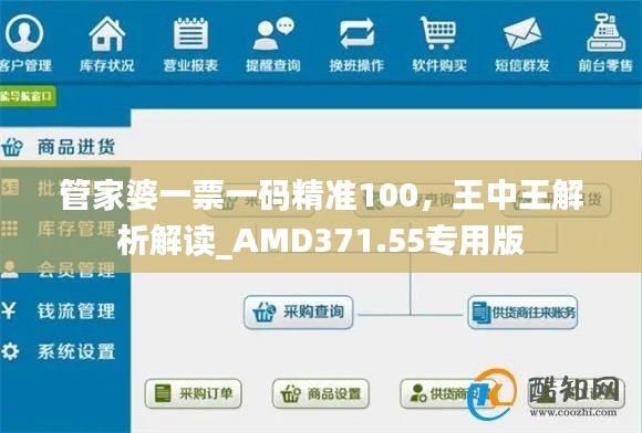 管家婆一票一碼精準100，王中王解析解讀_AMD371.55專用版