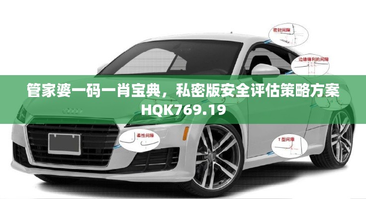 管家婆一碼一肖寶典，私密版安全評估策略方案HQK769.19