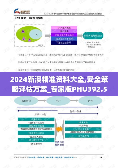 2024新澳精準資料大全,安全策略評估方案_專家版PHU392.55