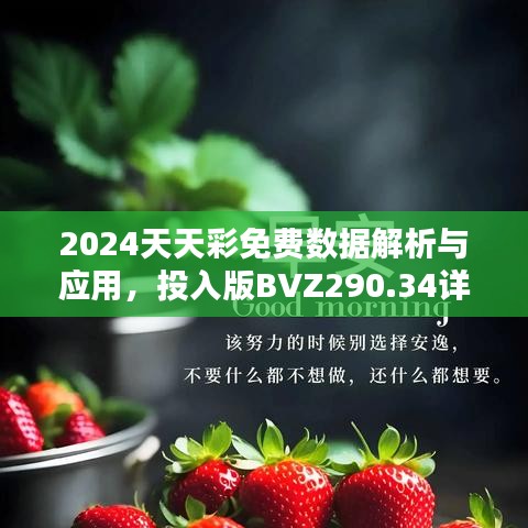 2024天天彩免費數(shù)據(jù)解析與應(yīng)用，投入版BVZ290.34詳述