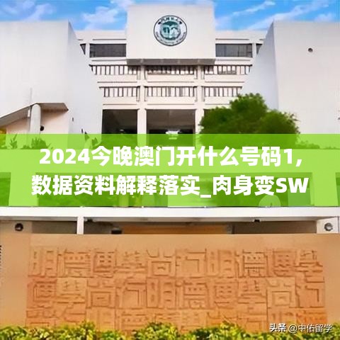 2024今晚澳門開什么號碼1,數(shù)據(jù)資料解釋落實_肉身變SWP147.54