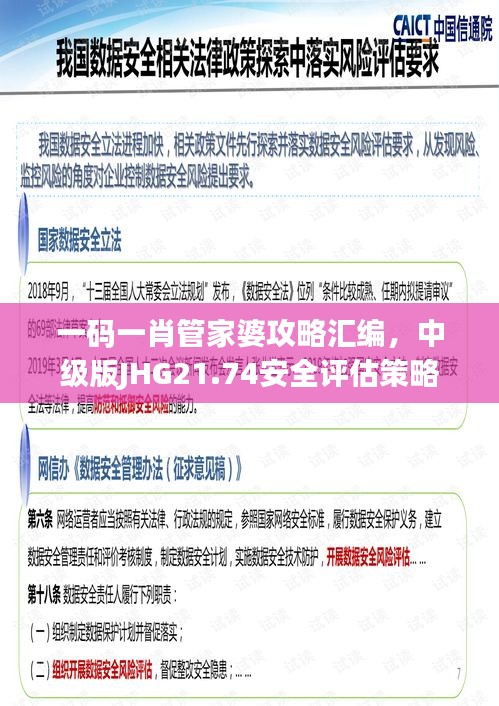 一碼一肖管家婆攻略匯編，中級版JHG21.74安全評估策略