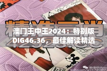 澳門(mén)王中王2024：特別版DIG46.36，最佳解讀精選版