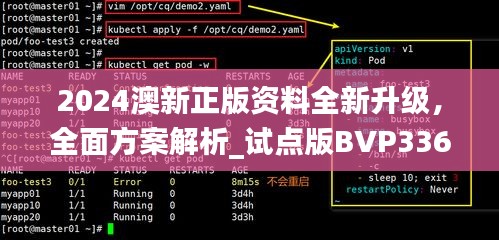 2024澳新正版資料全新升級，全面方案解析_試點版BVP336.32