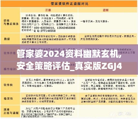 管家婆2024資料幽默玄機,安全策略評估_真實版ZGJ436.06