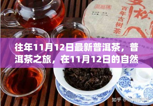 普洱茶之旅，在11月12日的自然懷抱中品味靜心之茶，探尋最新普洱茶的魅力