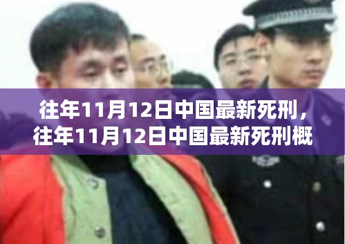 往年11月12日中國最新死刑執(zhí)行概況，法律公正與社會反響分析