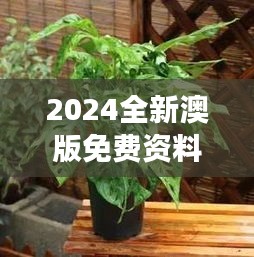 2024全新澳版免費資料集，植物防護秘籍——九天太仙FLQ414.11