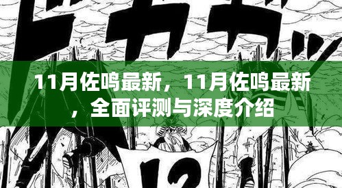 11月佐鳴最新，全面評測與深度介紹