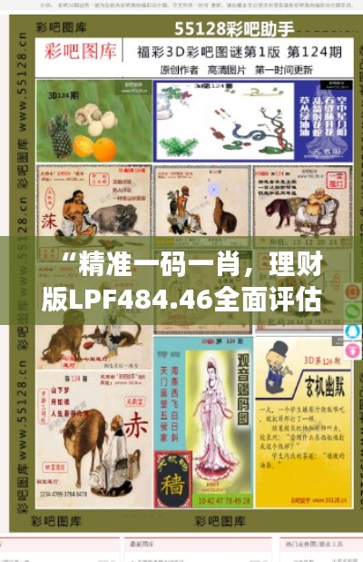 “精準一碼一肖，理財版LPF484.46全面評估”