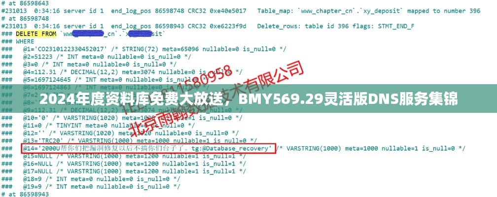 2024年度資料庫免費大放送，BMY569.29靈活版DNS服務(wù)集錦