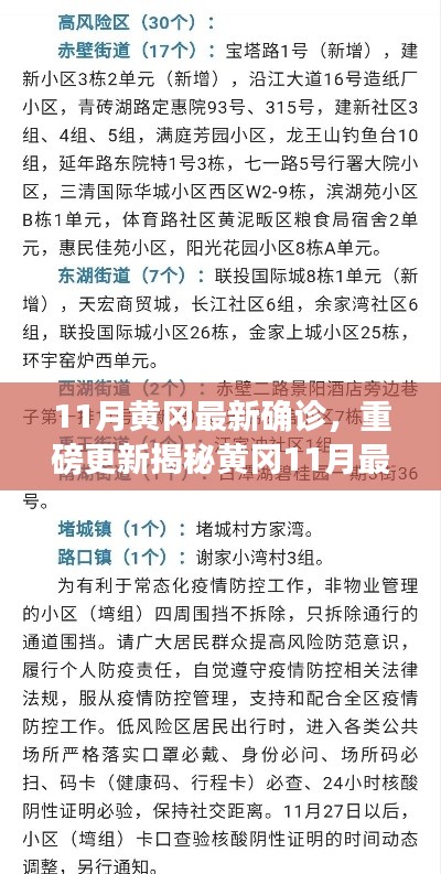 揭秘黃岡11月最新確診情況，深度解析防疫現(xiàn)狀，重要信息一覽無余