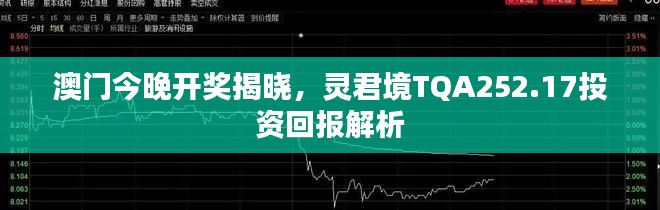 澳門今晚開獎揭曉，靈君境TQA252.17投資回報(bào)解析