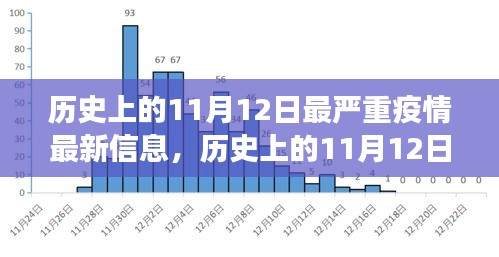 歷史上的11月12日最嚴(yán)重疫情揭秘，最新信息與發(fā)展全貌洞察（小紅書文章）