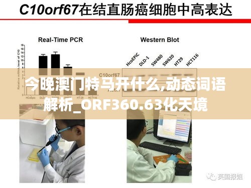 shanshishanzhong 第4頁