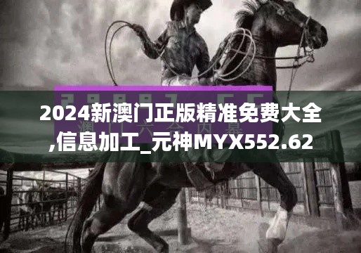 2024新澳門正版精準免費大全,信息加工_元神MYX552.62