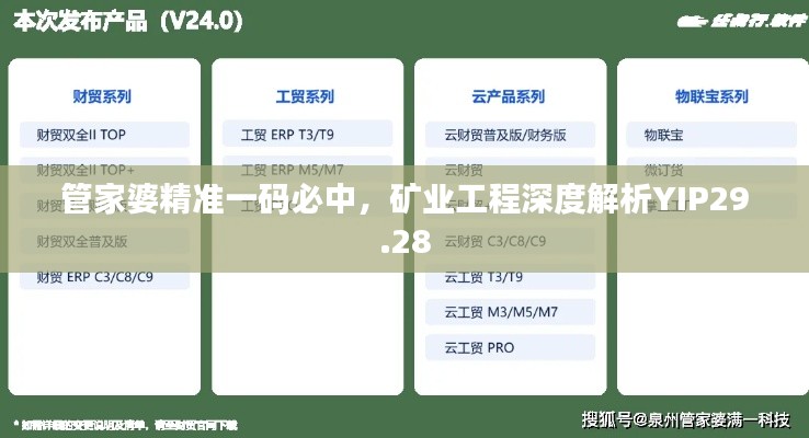 管家婆精準(zhǔn)一碼必中，礦業(yè)工程深度解析YIP29.28