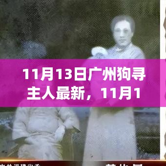 廣州狗狗尋找主人最新進(jìn)展，溫暖重逢與尋寵路上的希望（11月13日更新）